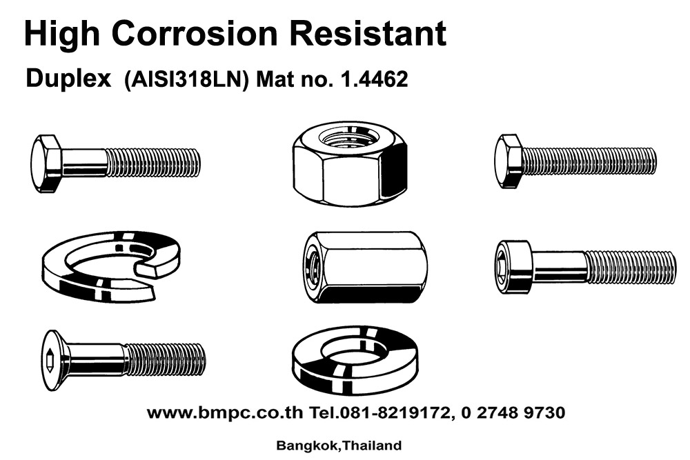 High corrosion resistant fasteners, Duplex bolt, A5, AISI316Ti