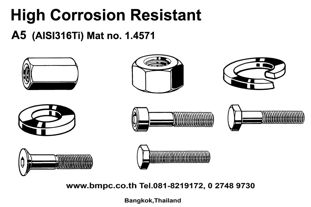 High corrosion resistant fasteners, Duplex bolt, A5, AISI316Ti, Schnorr, Disc spring, load washer